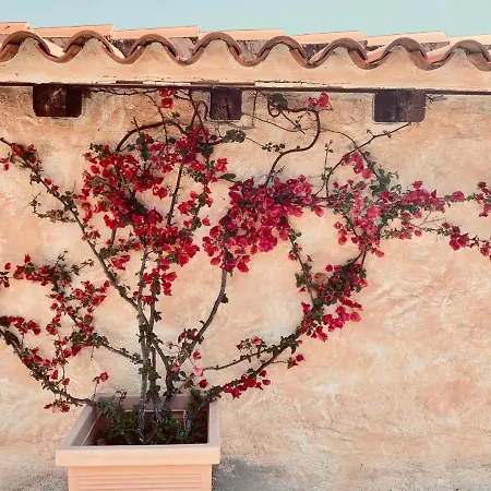 Pinelopi * Olbia