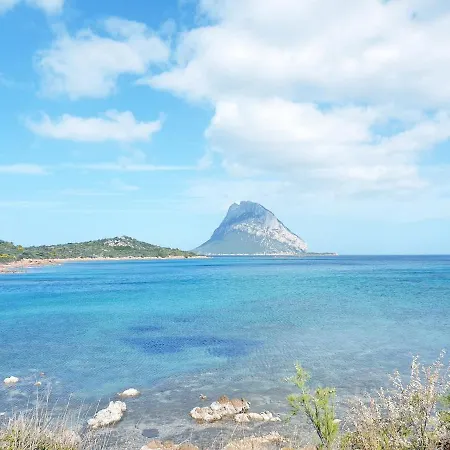 Pinelopi * Olbia