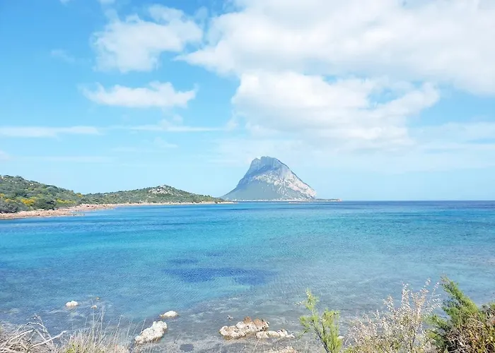 Pinelopi * Olbia