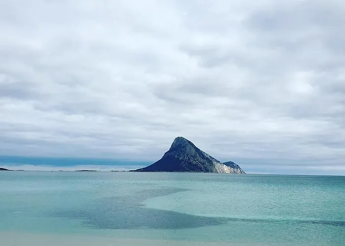 Pinelopi * Olbia